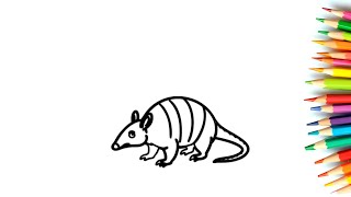 How to draw an Armadillo - Perfect for all ages