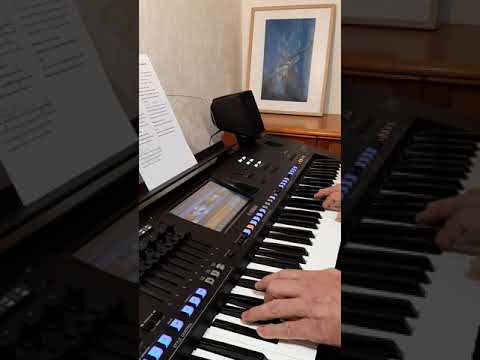 Wieder mal - Die Schrillen Fehlaperlen / 5 Strophen