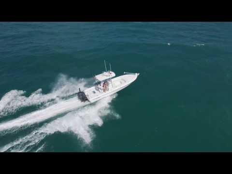 Contender 25 Bay