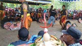 Download lagu Jathilan sekar kencono babak 4 tanggal 23 september 2018 at jitengan balecatur mp3 Download lagu Jathilan sekar kencono babak 4 tanggal 23 september 2018 at jitengan balecatur mp3