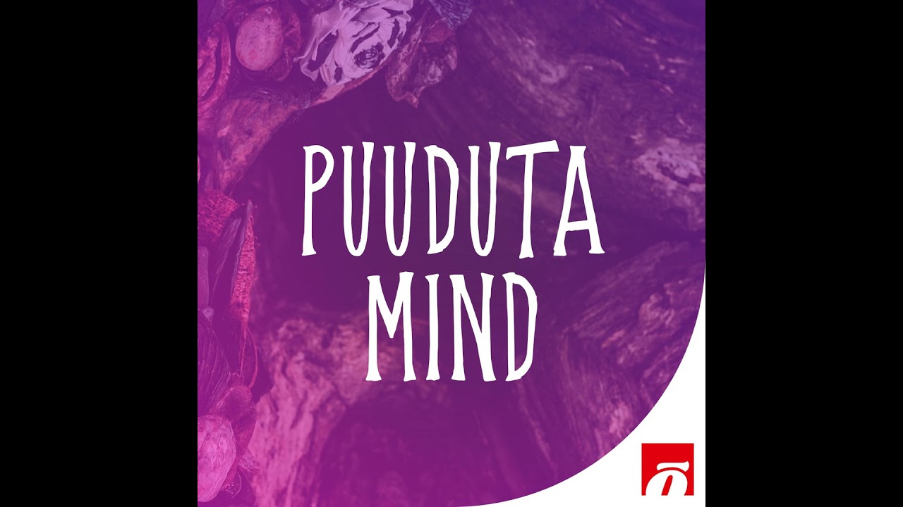 ERISAADE: Ants Rootslane: edukas olla on ohtlik, eriti kui sul on suur mõju