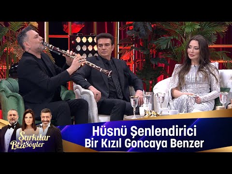 Hüsnü Şenlendirici - BİR KIZIL GONCAYA BENZER