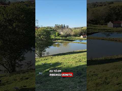 PARAÍSO NA TERRA RIBEIRÃO BONITO SANTO ANTÔNIO DA PLATINA PR 🇧🇷 #sitio #fazenda