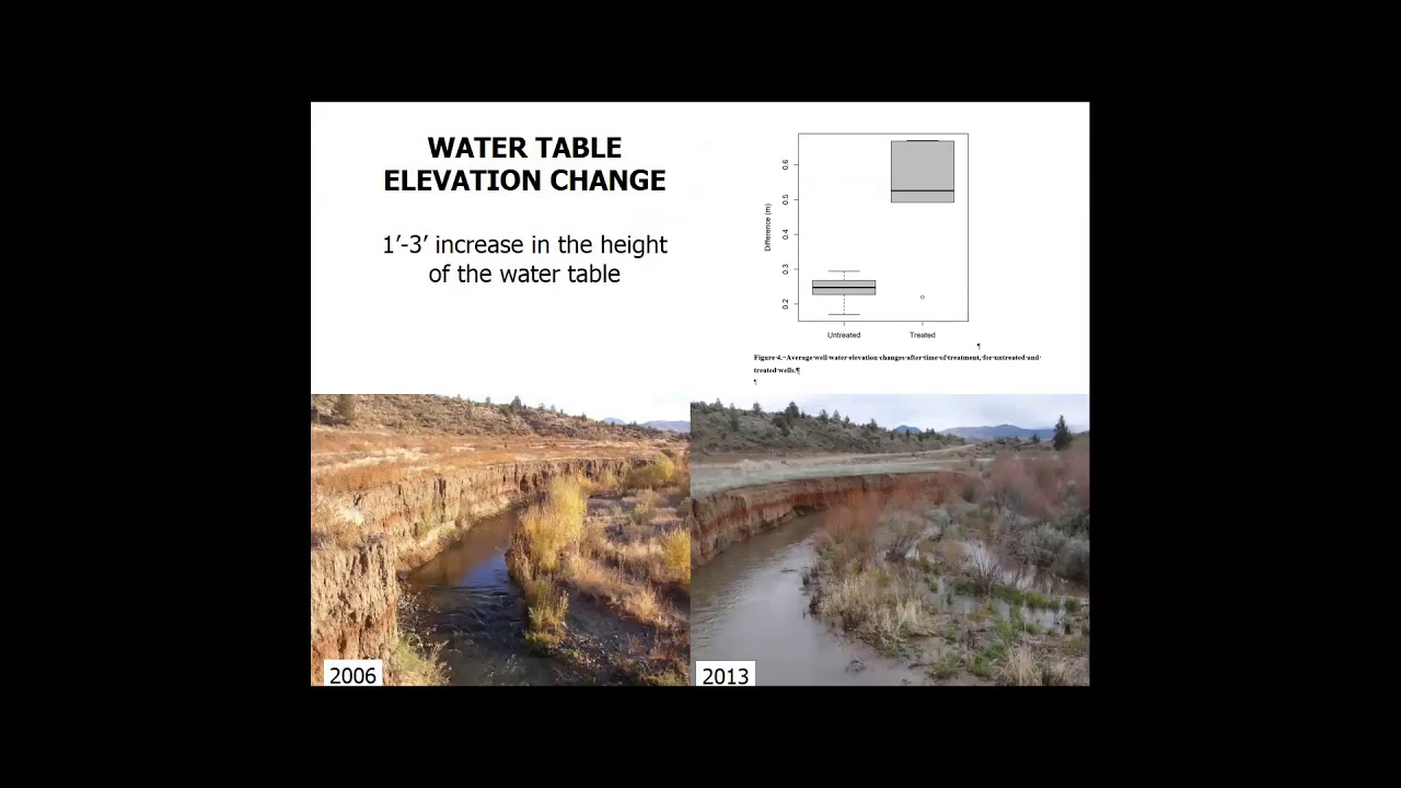 Beaver Dam Analogs Galore! - Bennett et al.