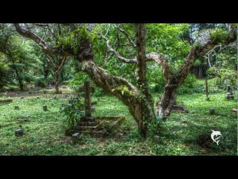 Elias Loeb - Love's an awful crime