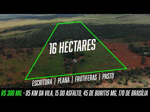 Sítio 20 Hectares em Buritis–MG – 7 km da Vila | 15 km do Asfalto | 180 km de Brasília – R$ 300.000