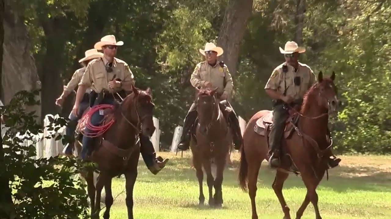 ‘It’s not just a file on your desk’: BCSO Missing Persons Unit helps families in times of distress