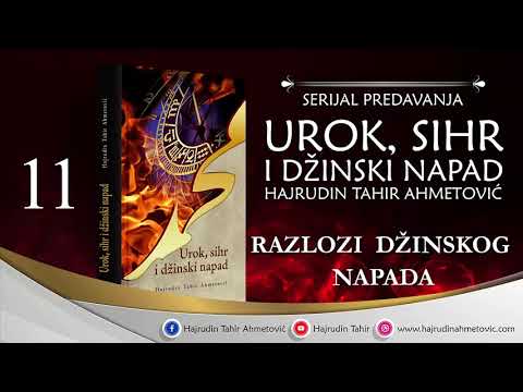 11 Razlozi džinskog napada