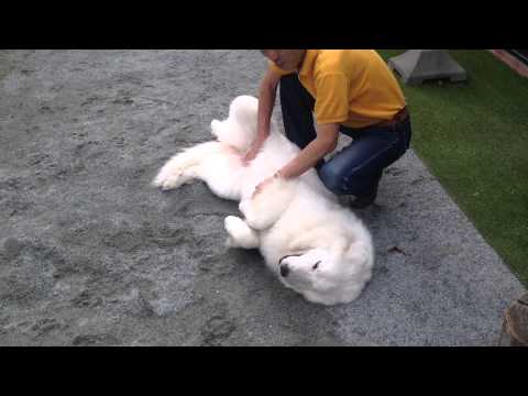 {$row[$i]['name'], ENT_QUOTES,'utf-8'); ?>