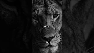 Every Discipline Choice You Make