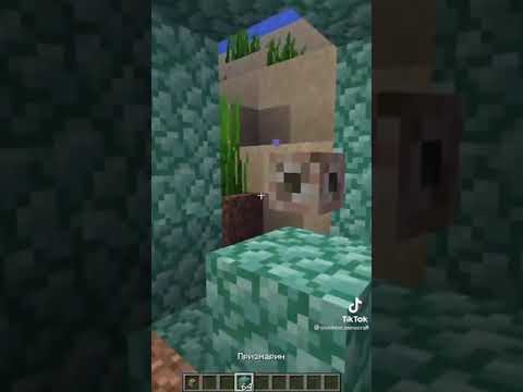 Вот для чего нужна была сердце моря #майнкрафт