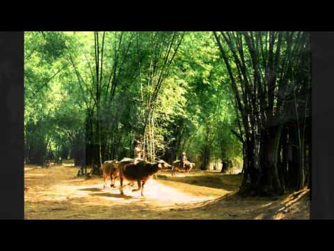 Thể hiện bởi Quang Dũng
