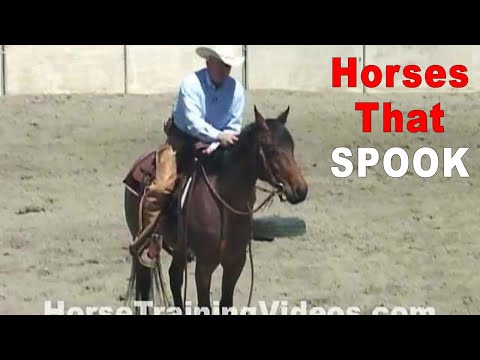 Horses That Spook - What To Do
