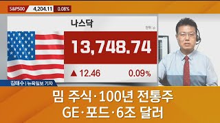 [뉴욕 증시 마감 현황] 밈 주식·100년 전통주·GE·포드·6조 달러- 김태수 기자 / 매일경제TV