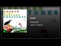 Andrew Bird - Nyatiti  ( 2009 )
