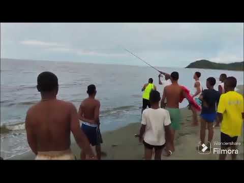 Pesca de jureles (toro),(jurel jack) en las playas de acandi choco el paraíso