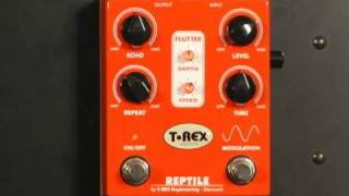Video thumbnail for T-Rex Reptile Delay / Modulation by Jack Zucker - Jazz Guitar