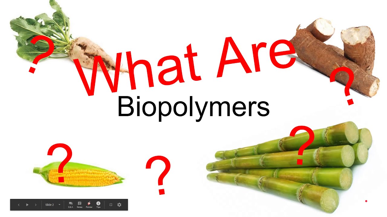 Biopolymers: PLA