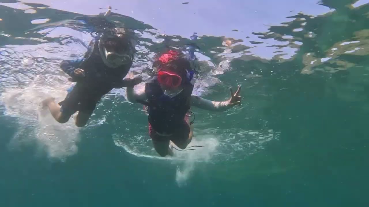 Snorkelling with The One Tenggol Island Resort