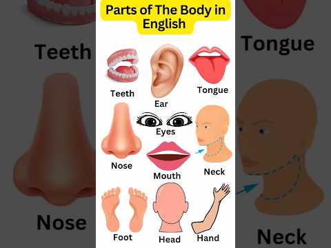 My body | Body Parts Vocabulary for Children #bodyparts #shorts