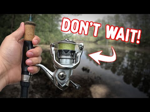 The Best Ultralight Fishing Reel You NEED To Buy! | Shimano Nasci