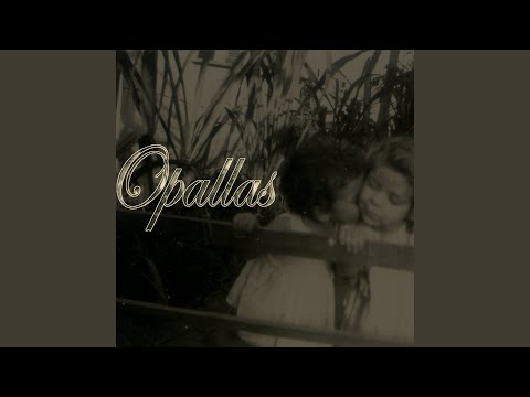 Quando Já É Normal - Opallas