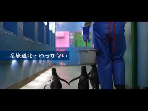 [Viaje de invierno al norte de Hokkaido, Wakkari Umu]