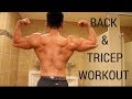 Powerbuilding Back And Tricep Workout RAW