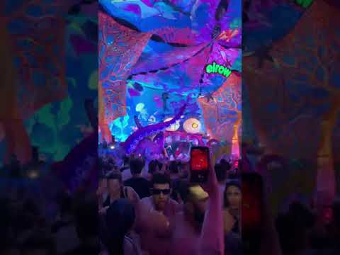 Wade - Elrow São Paulo - 20.12.2019