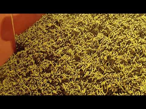 Video 1