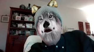 No wolves in Scotland?