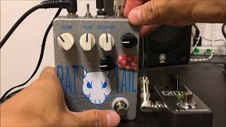 Video thumbnail for FUZZROCIOUS RAT TAIL Bass Demo (Pick Style) by HONEKOEN