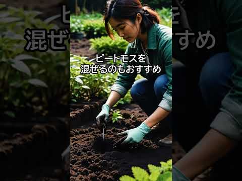 冬に向けて果樹を準備するにはどうすればよいですか？彼らをどうやって守るのか？  庭園