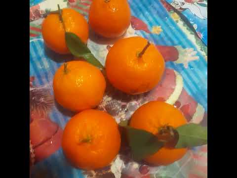 Fructe și dulce. Fruits and sweets.