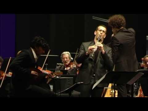 Heaven and Earth || Concertino for clarinet, mandolin, and orchestra, Mov. 1 || Ofer Ben-Amots