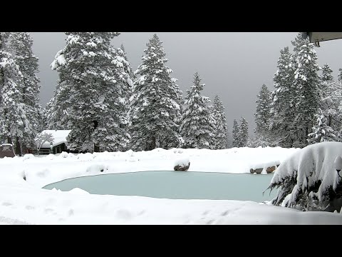 Winter Wonderland in the Mountains
