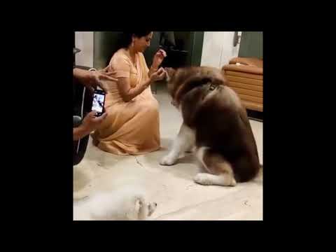 Singer Sunitha | Singer Sunitha Latest Videos | Sunitha | V7 Media