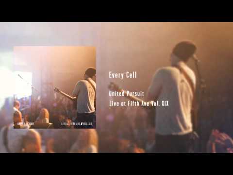 Thumbnail for Every Cell video