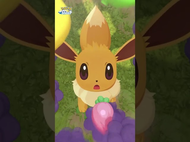 Vídeo relacionado con Pokémon Slippers Girls Kids Pikachu Sylveon Eevee Zapatos Azules Mocasines 36 EU