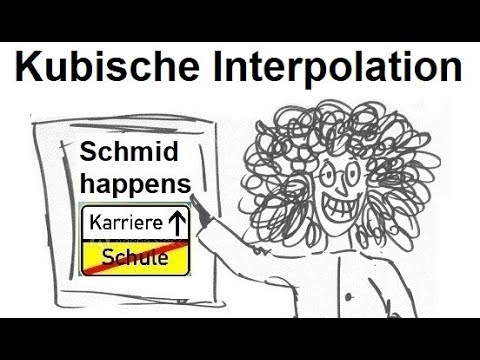 Koeffizienten bestmmen: Abitur 2015 BW Kubische Interpolation 2x³-5x² | Mathematik beim Mathe Schmid