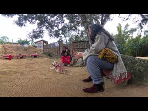 Aldeia Guarani Mbyá - Canelinha -Santa Catarina.05