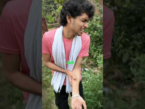 Saap Ne Kat Liya😰#snake #blog #shorts #vlogger