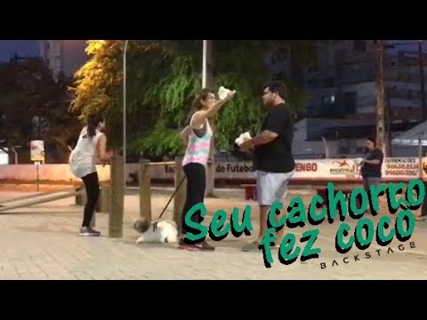 Seu cachorro fez cocô na rua!