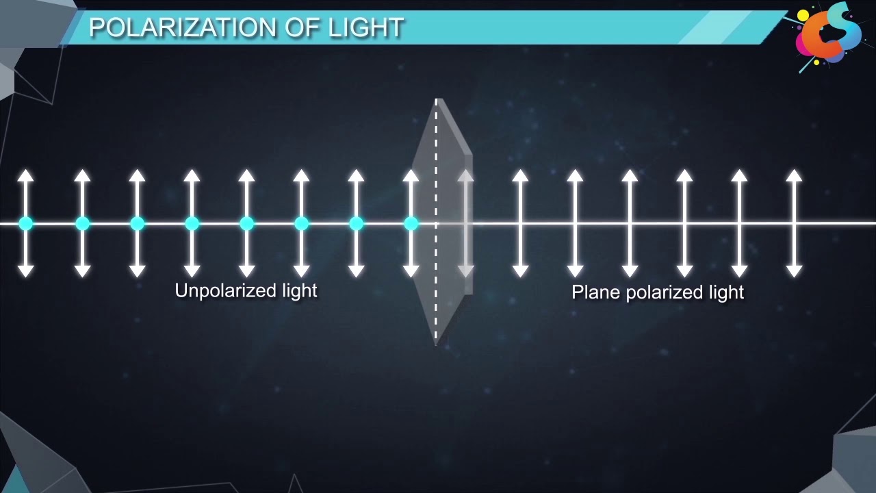 16 - Class 12 - Physics - Wave Optics -  Polarisation