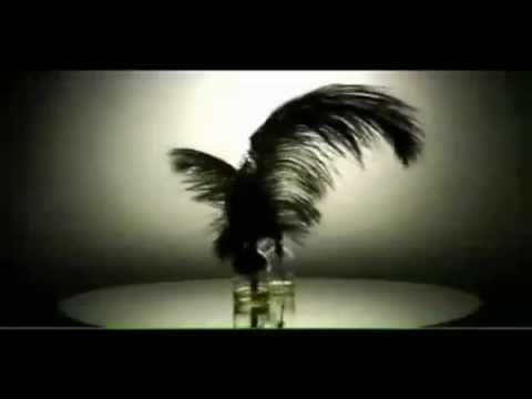 Apologize (Remix) (Ft. One Republic   Unknown) - Timbaland - YouTube.flv