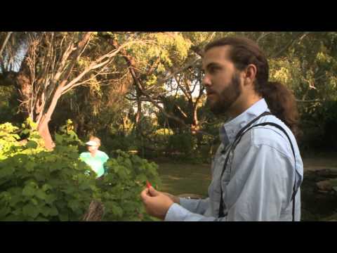 download lagu mp3 mp4 Texas Birding List, download lagu Texas Birding List gratis, unduh video klip Texas Birding List