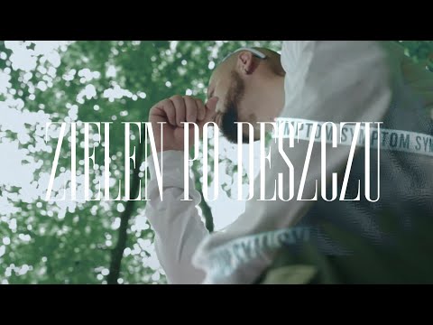 arg1 - zieleń po deszczu (prod. Kudel, cuty DJ Twister) (🎥: @aptlyfilmz)
