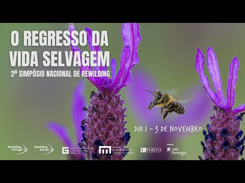 II Simpósio Nacional de Rewilding - Dia 1