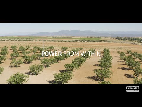 Those Who Know. Discover Mecc Alte Portables