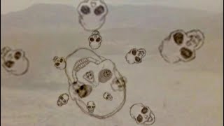 Carla Bozulich w Evangelista - Winds of St. Anne